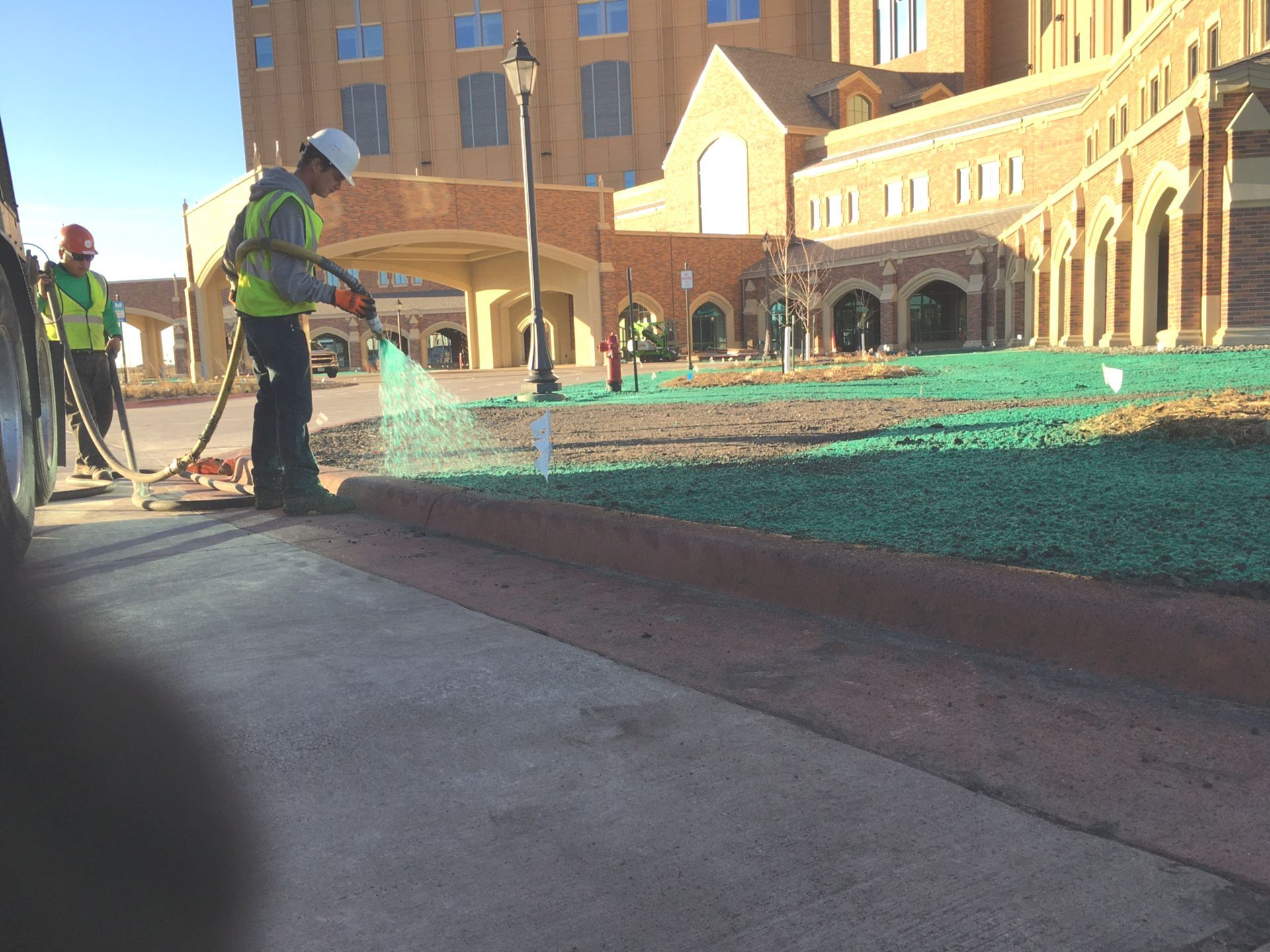 Trees Fargo, ND S & S Landscaping