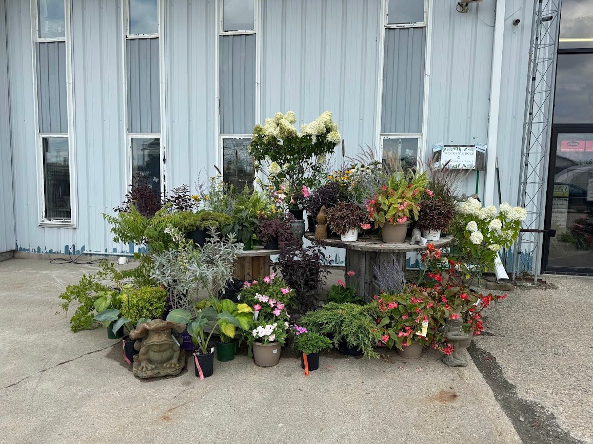 A bunch of potted plants are sitting in front of a building.