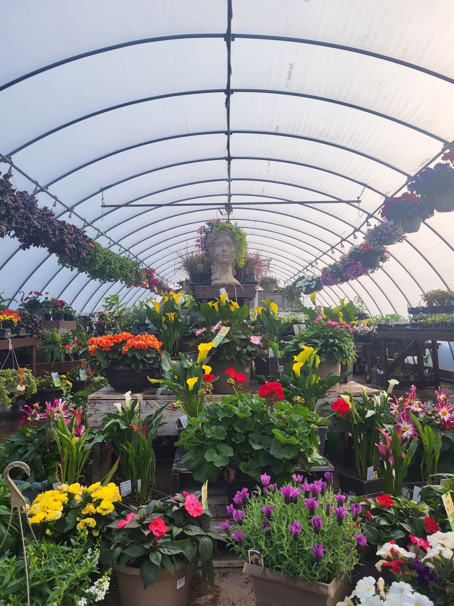 A greenhouse filled with lots of flowers and plants.