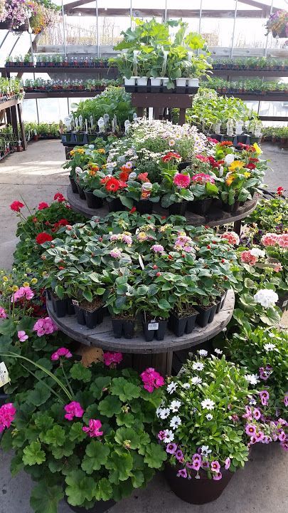 A greenhouse filled with lots of potted plants and flowers.