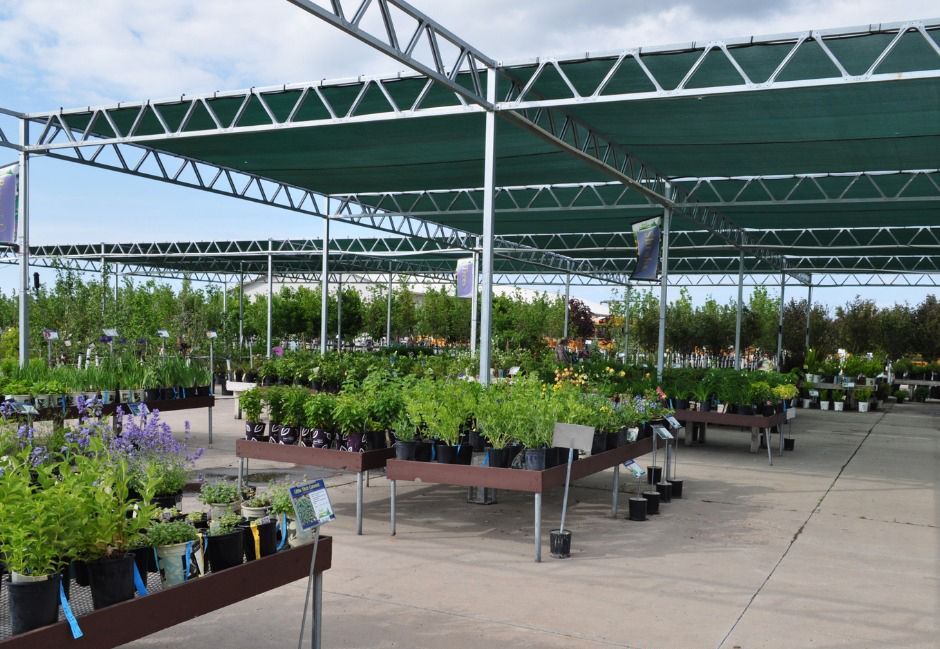 A garden center filled with lots of potted plants