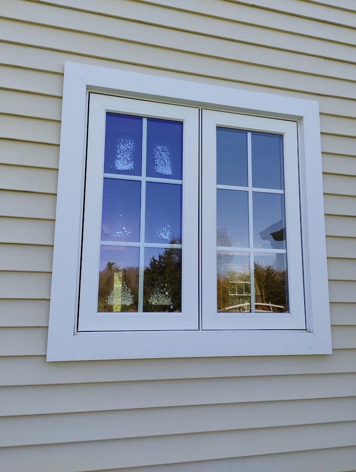White-framed window on a light-colored building, reflecting trees and sky.