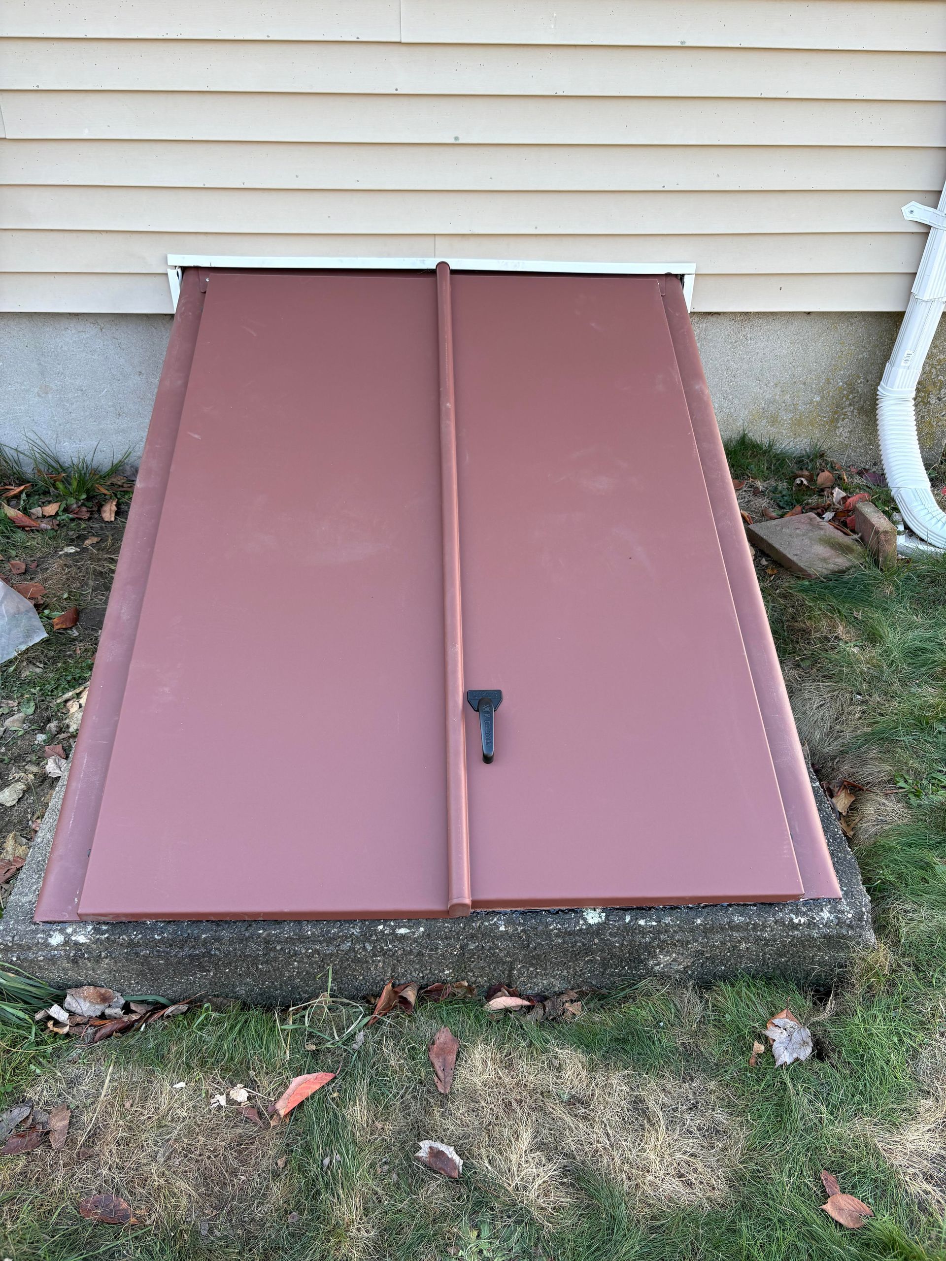 Brown basement door against beige siding and green grass.