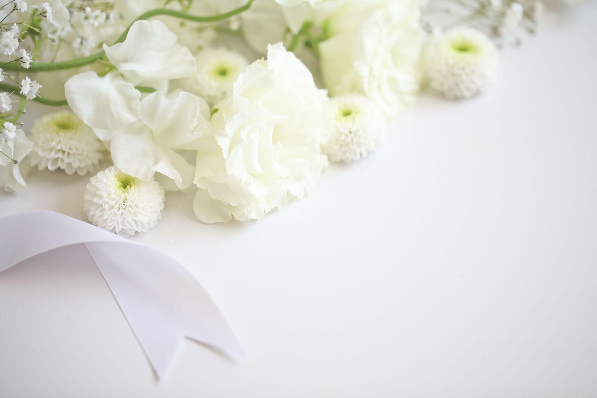 White flowers with a pale ribbon on a light background