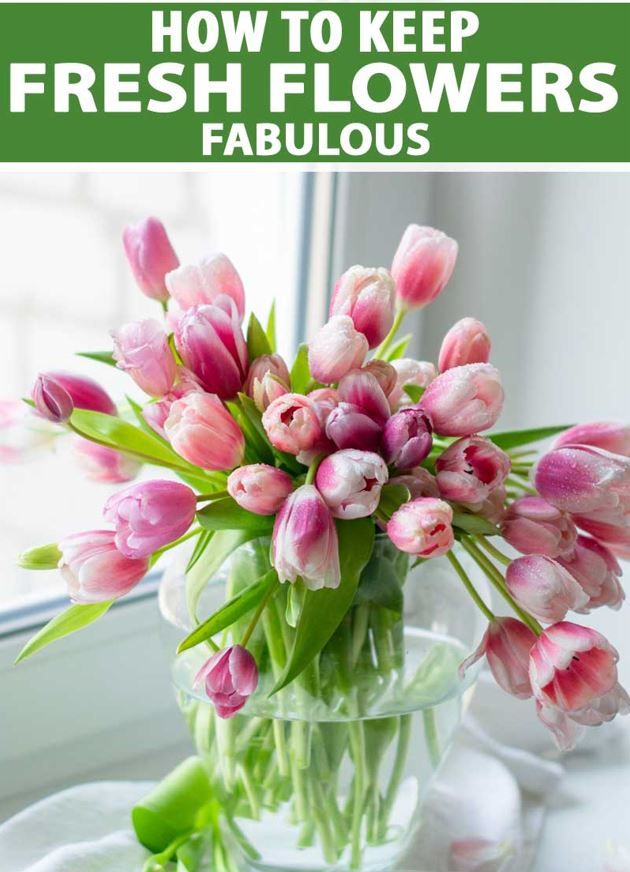 Fresh Flowers | Florist | Cherry Valley, IL | Stems Floral Design