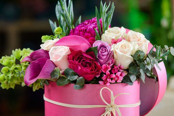 Florist | Poplar Grove, IL | Stems Floral Design