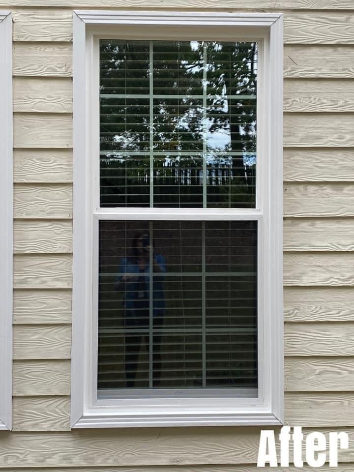 White framed window with grids, reflecting outdoor scenery, set in beige siding. 