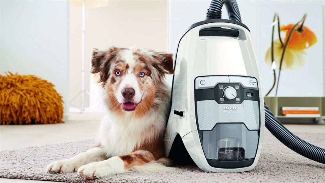 Miele Blizzard CX1 Cat & Dog Bagless Vacuum