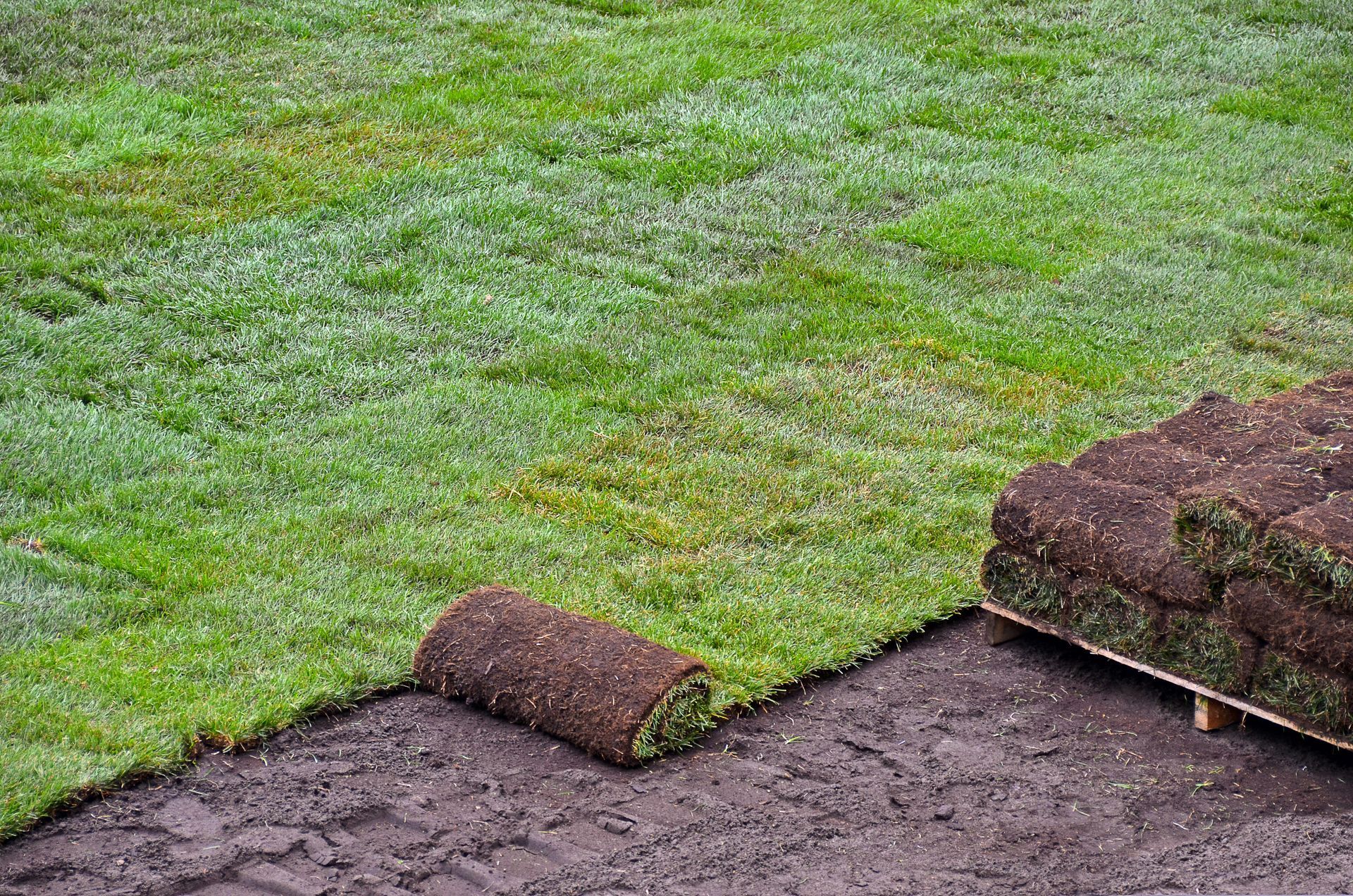 Laying sod: green grass rolls and squares on dark soil, with a pallet of sod rolls in the corner.
