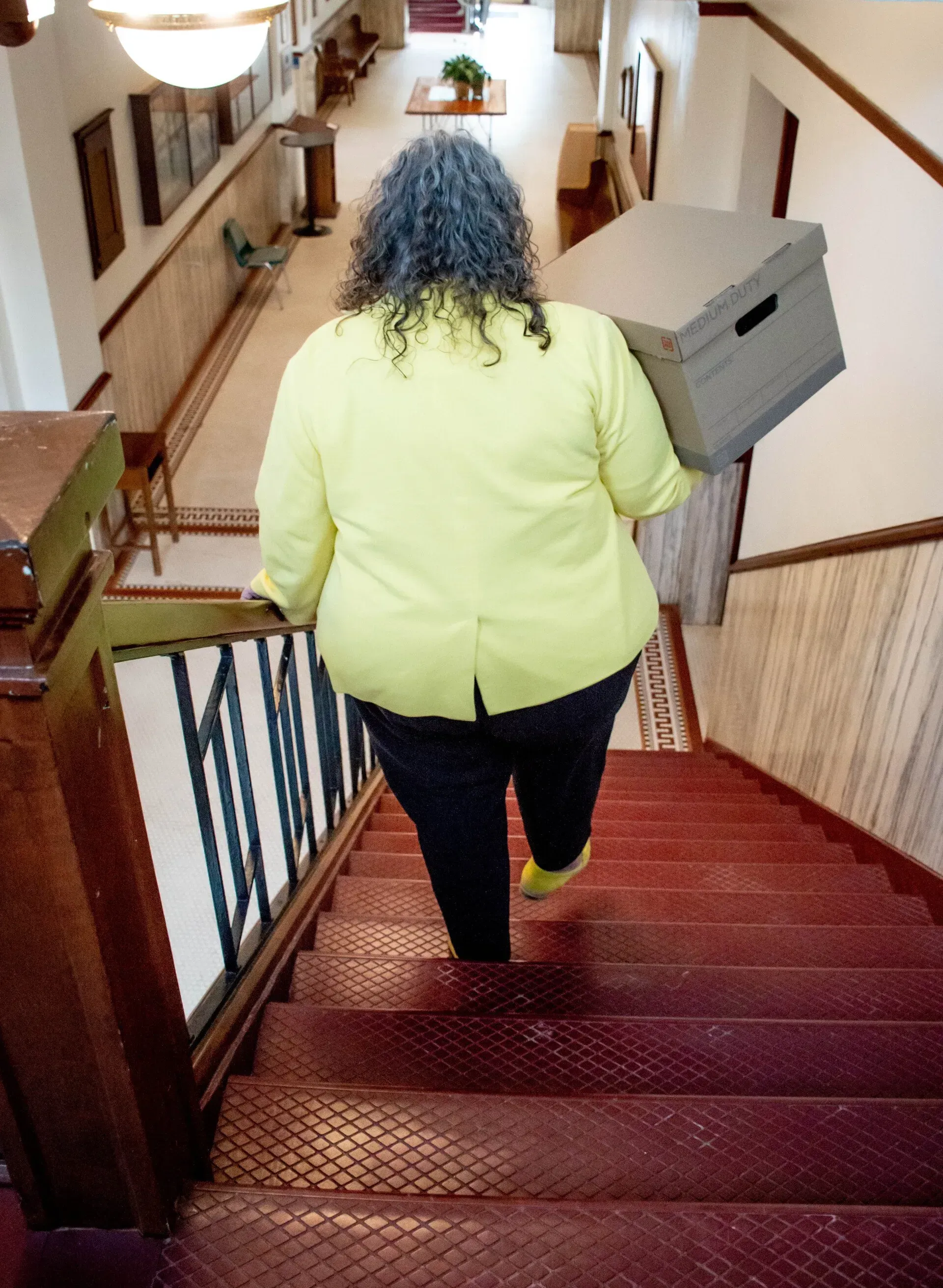 Person carrying a box down stairs with a metal pattern. Interior hallway with railing and art on the wall.
