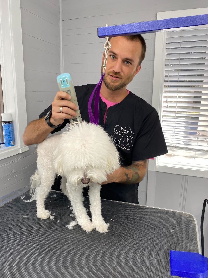 A man grooming a small white dog indoors. The man sprays the dog with grooming tools.