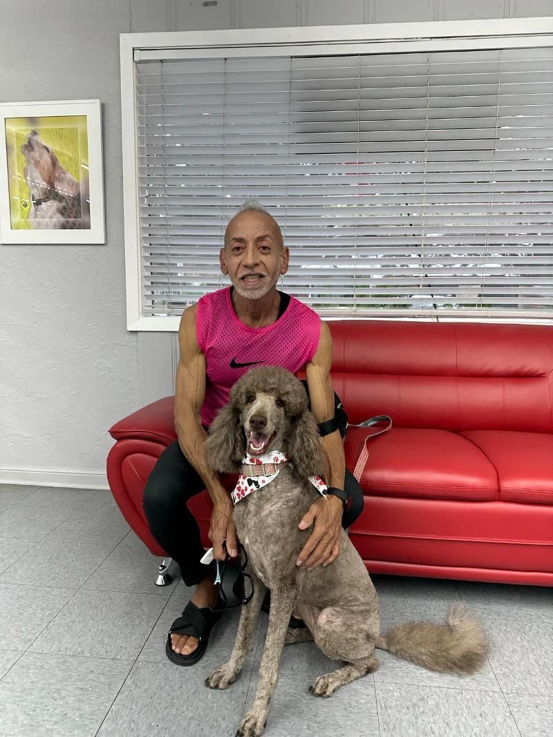 Man in pink top sits on red couch with a poodle; indoors, window behind.