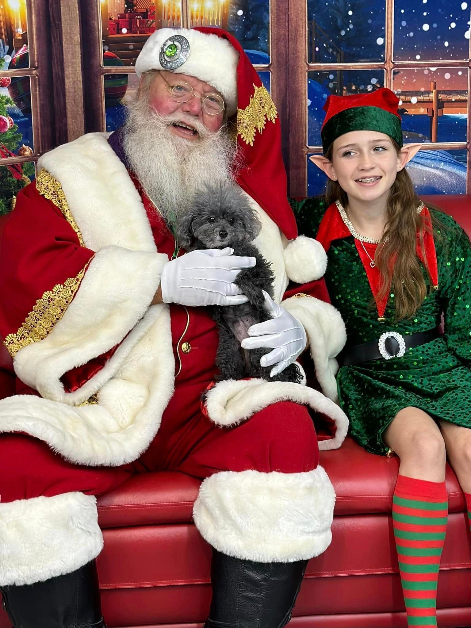 Santa Claus with an elf and small black dog, all smiling, on a red couch. Christmas scene background.