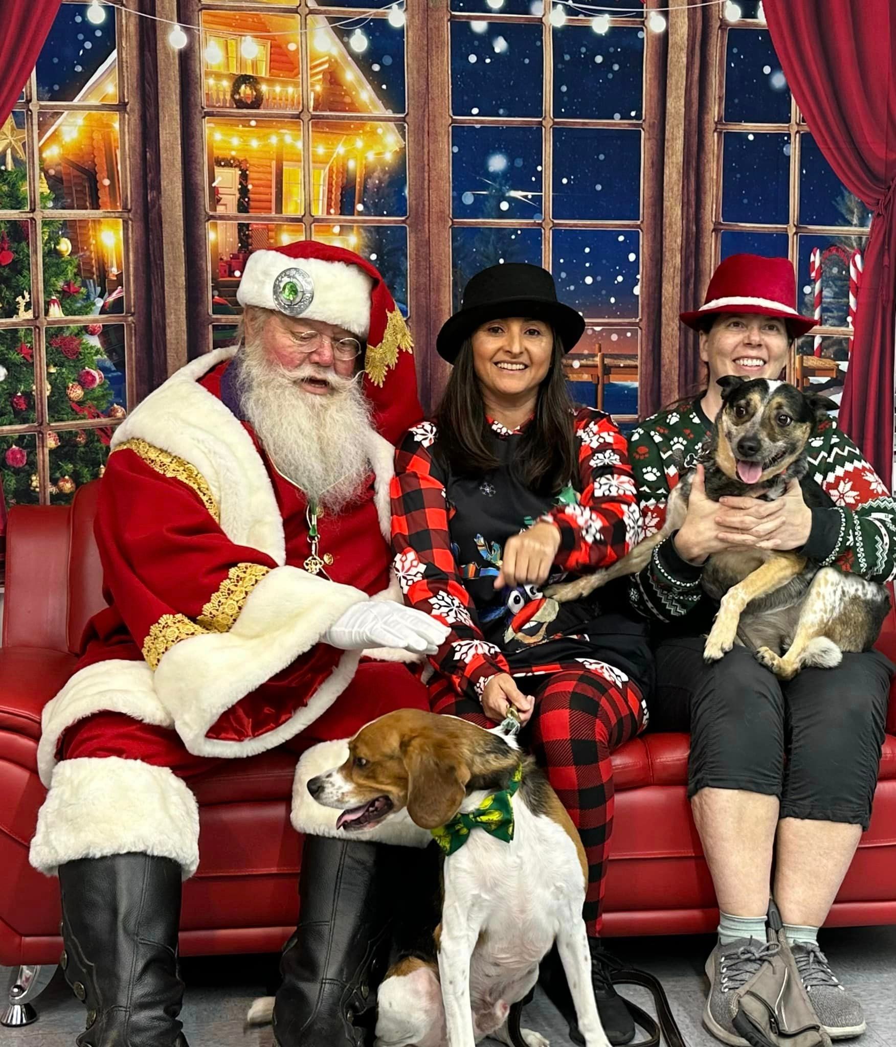 Santa Claus with two people and two dogs in a festive setting; all are smiling.