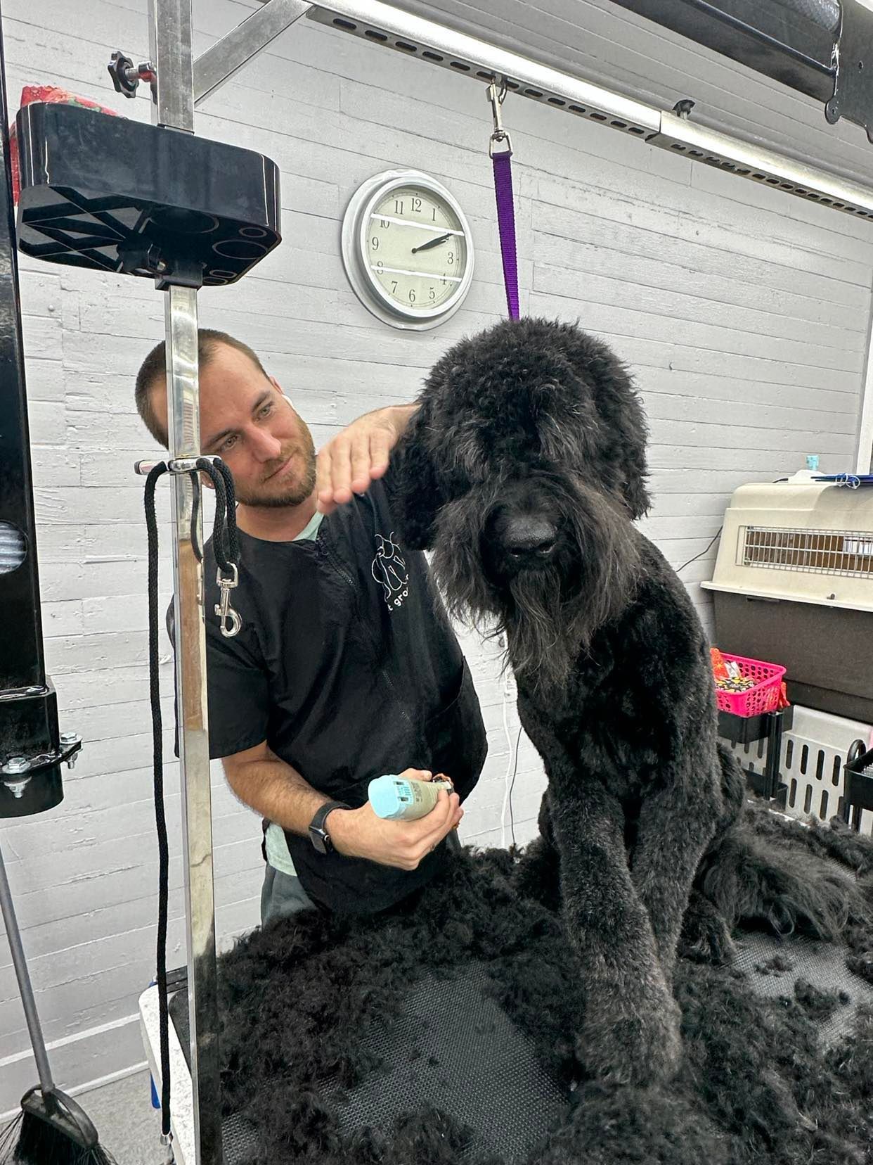 Groomer trimming a large black dog on a grooming table. The groomer is smiling.