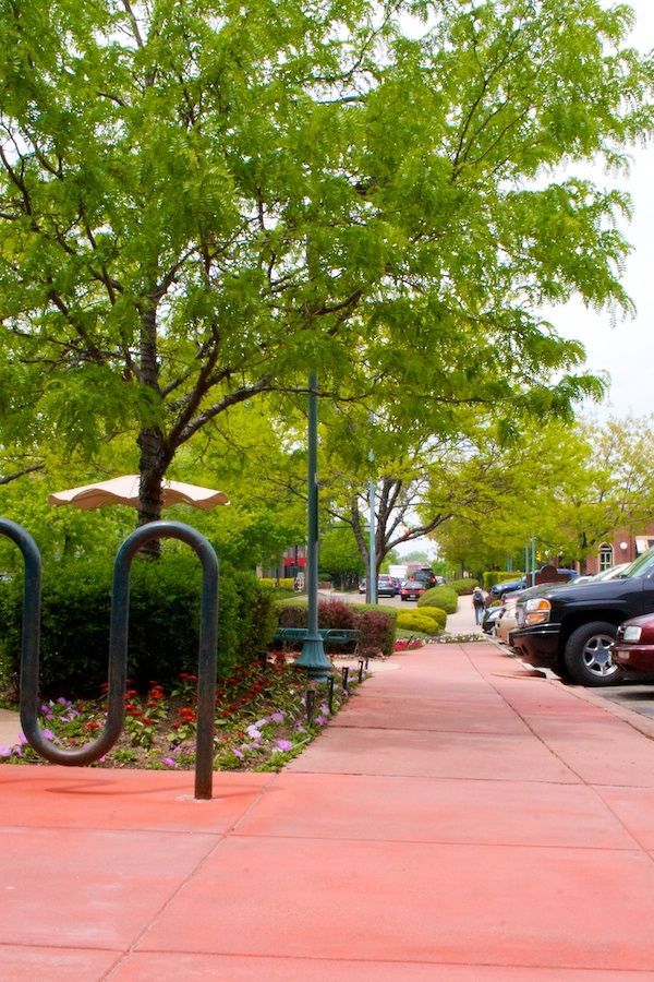 A row of cars are parked on a sidewalk next to a tree