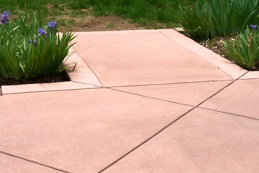 A concrete walkway with flowers on the side of it