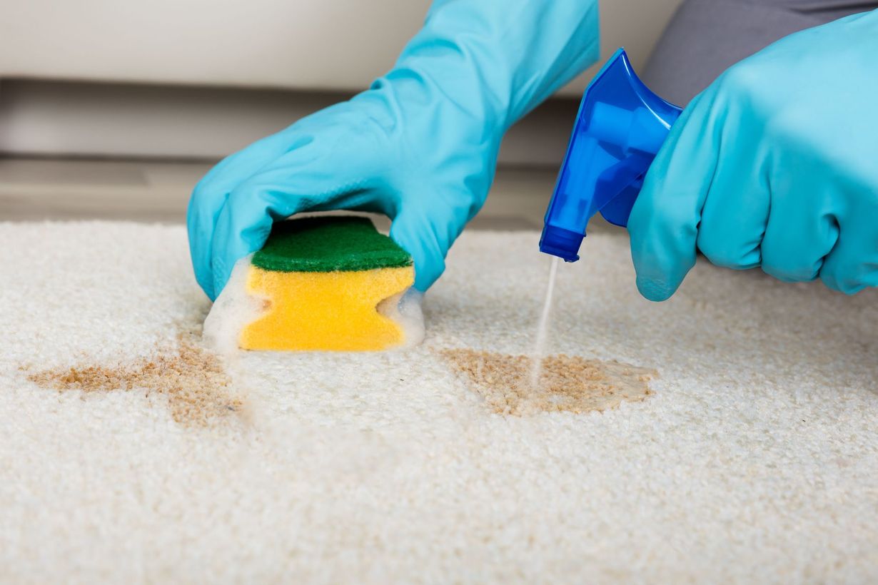 Atlanta Rug Cleaning & Restoration