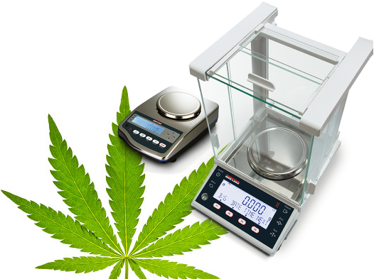 Cannabis Scales