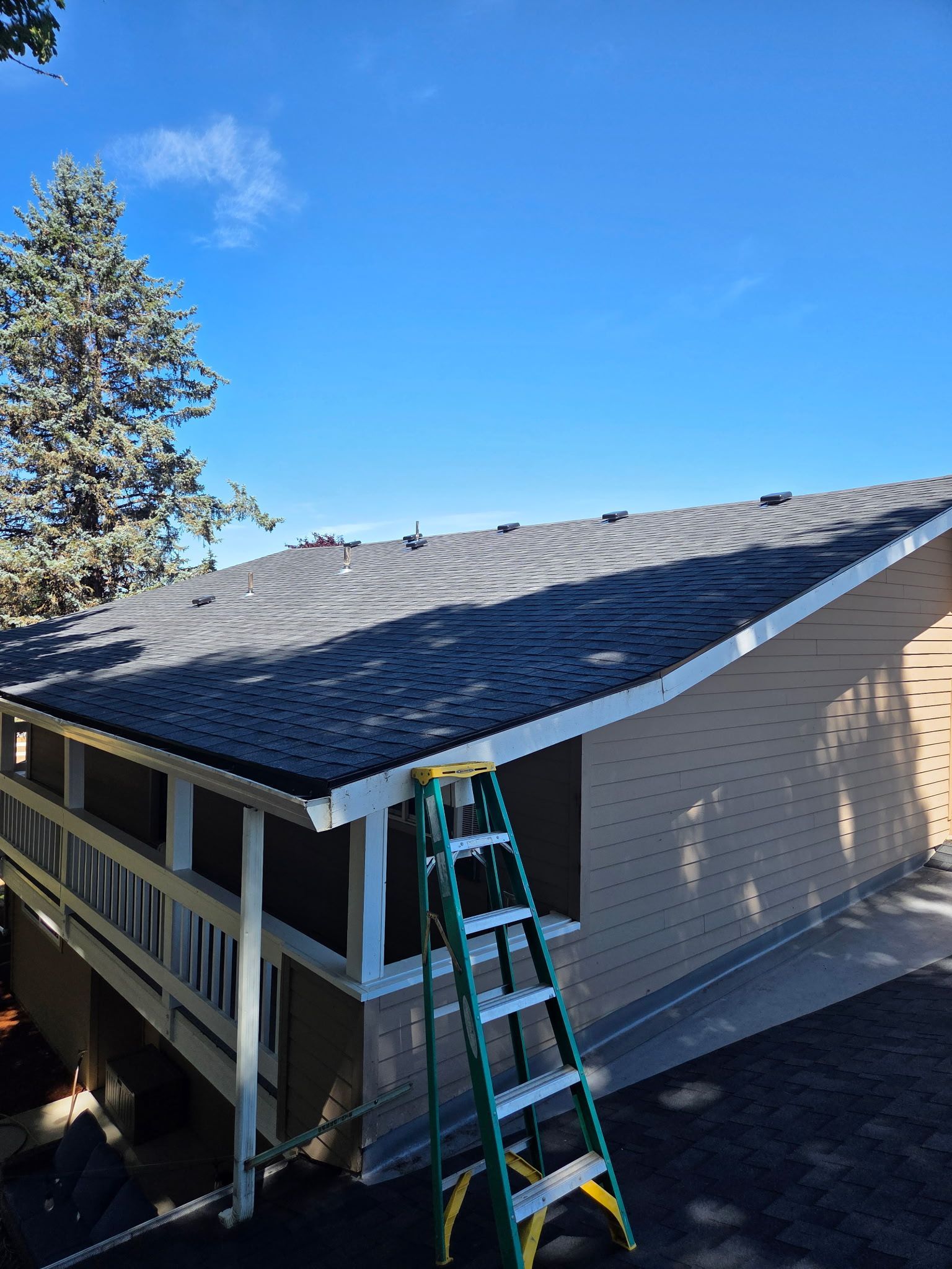 Green ladder propped against a newly roofed house with a white trim, blue sky background.