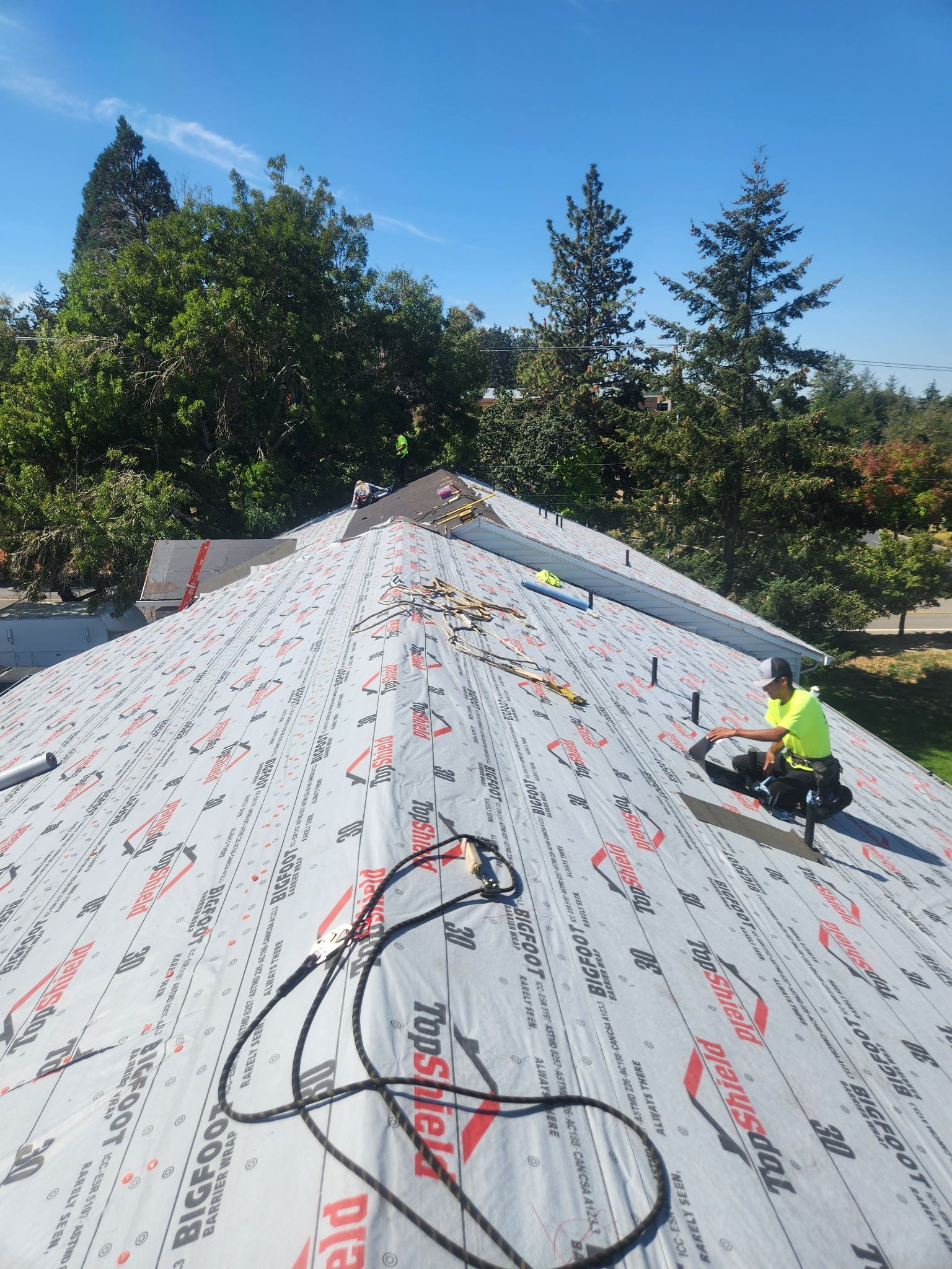 Roofers working on a house roof on a sunny day. Green trees and clear blue sky in the background. Safety harness visible.