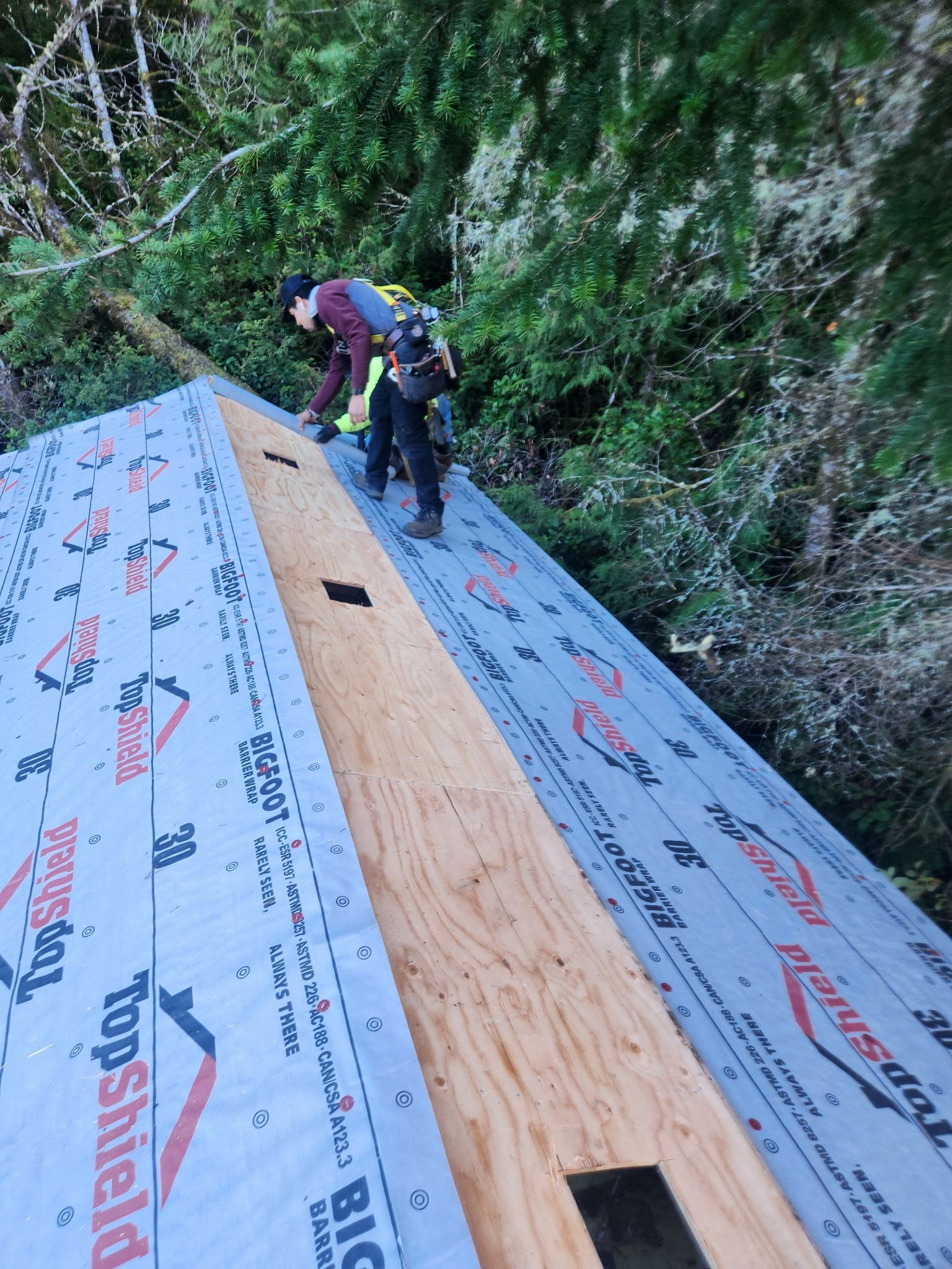 Person working on a roof, securing something. The roof has underlayment and is near trees.