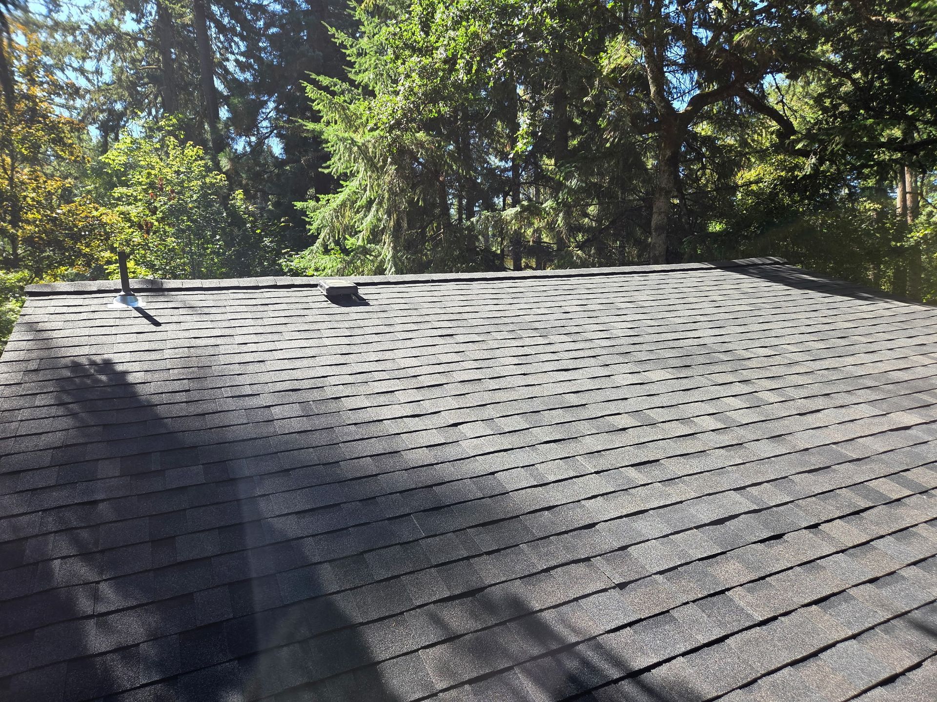 Dark gray shingle roof with two vents, in front of green trees under a bright blue sky.