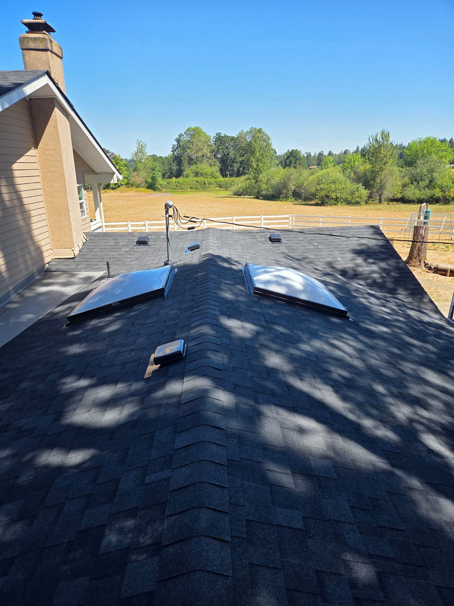 Black asphalt shingle roof with two skylights, chimney, and trees under a blue sky.