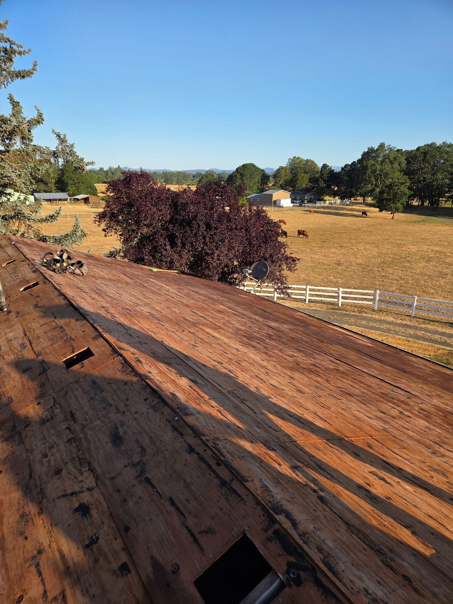 View from a roof, featuring a field with trees, a white fence, and a dark purple bush under a clear blue sky.