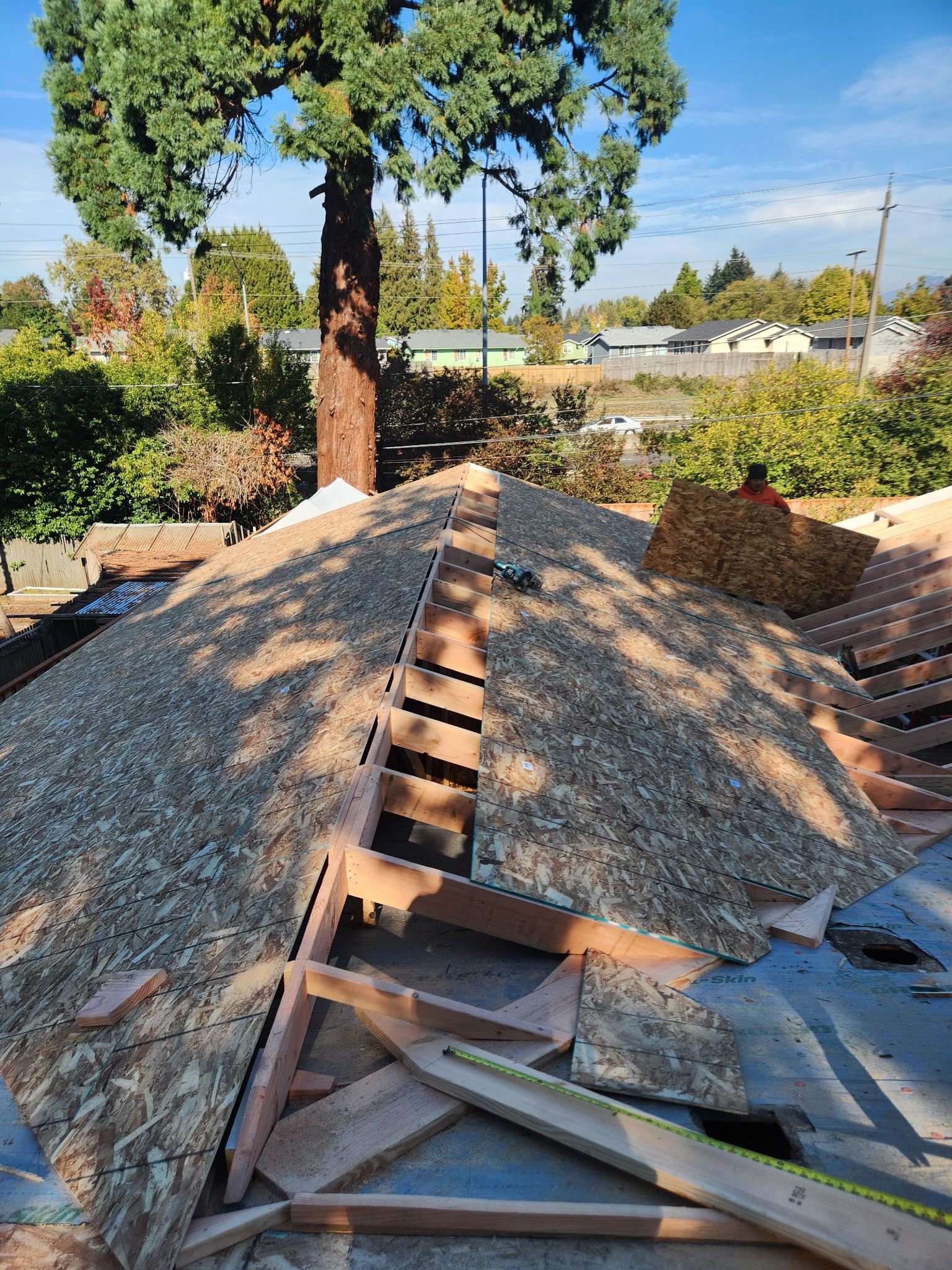 Roof under construction with plywood and wood supports, a tree in the background. Sunny day.