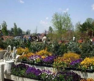Flower and plant displays at a garden center, with people browsing on a sunny day.