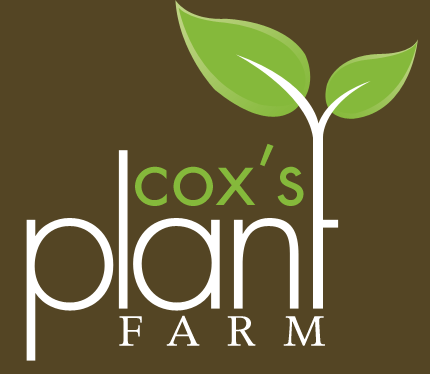 Cox's Plant Farm - logo
