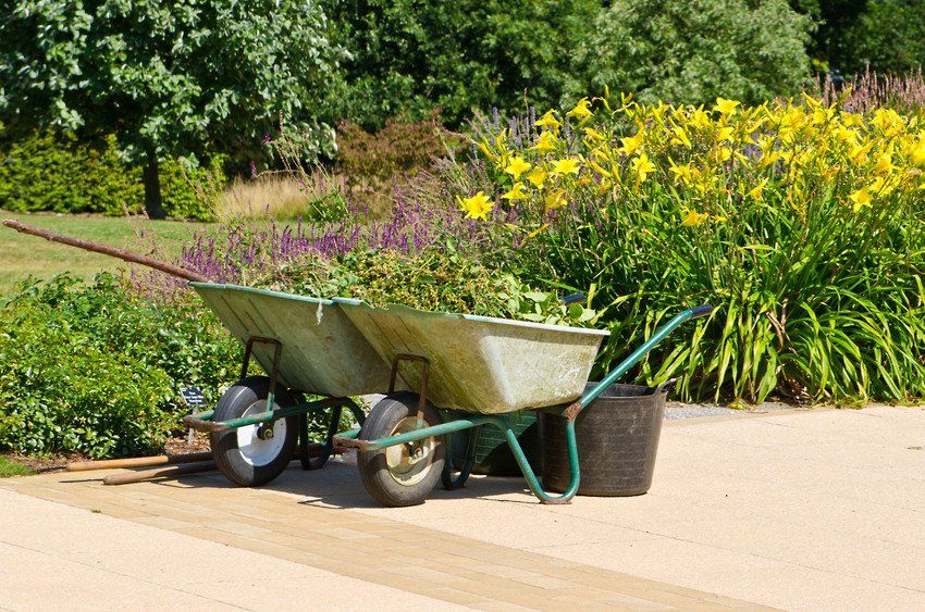 Cleaning garden