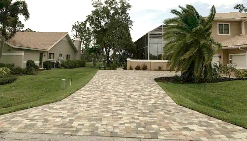 A driveway leading to a house with a palm tree in the middle.