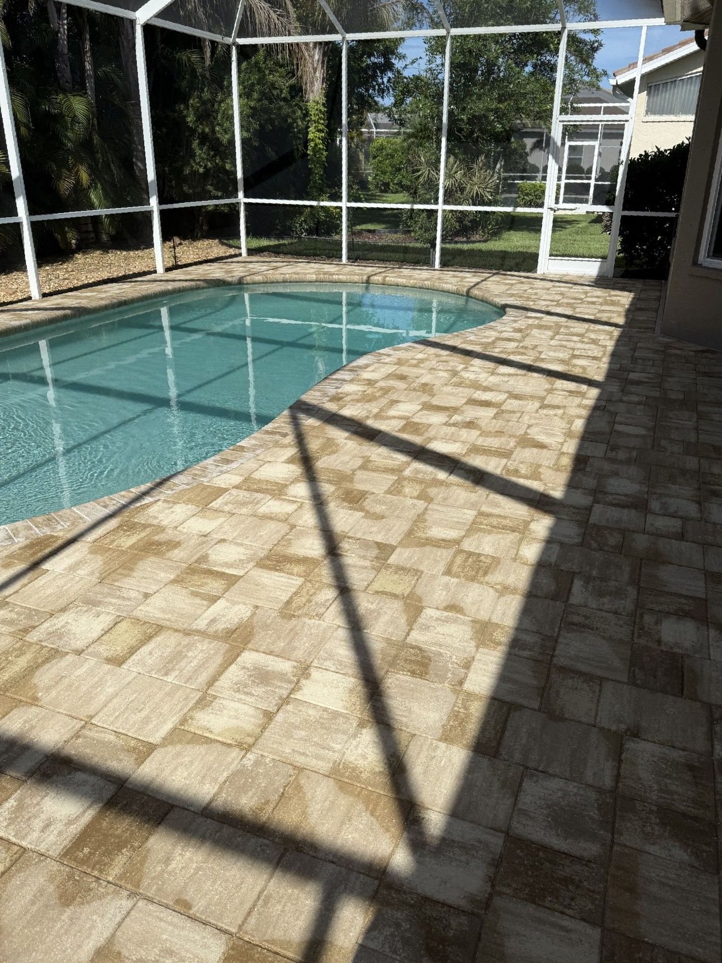 A large swimming pool is surrounded by a screened in area.