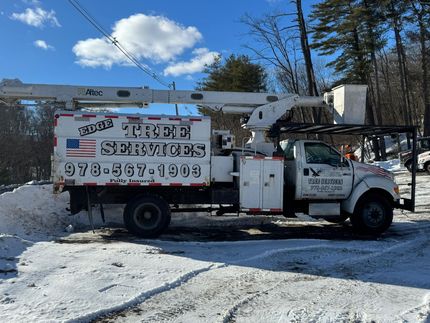 Edge Landscaping Tree Service