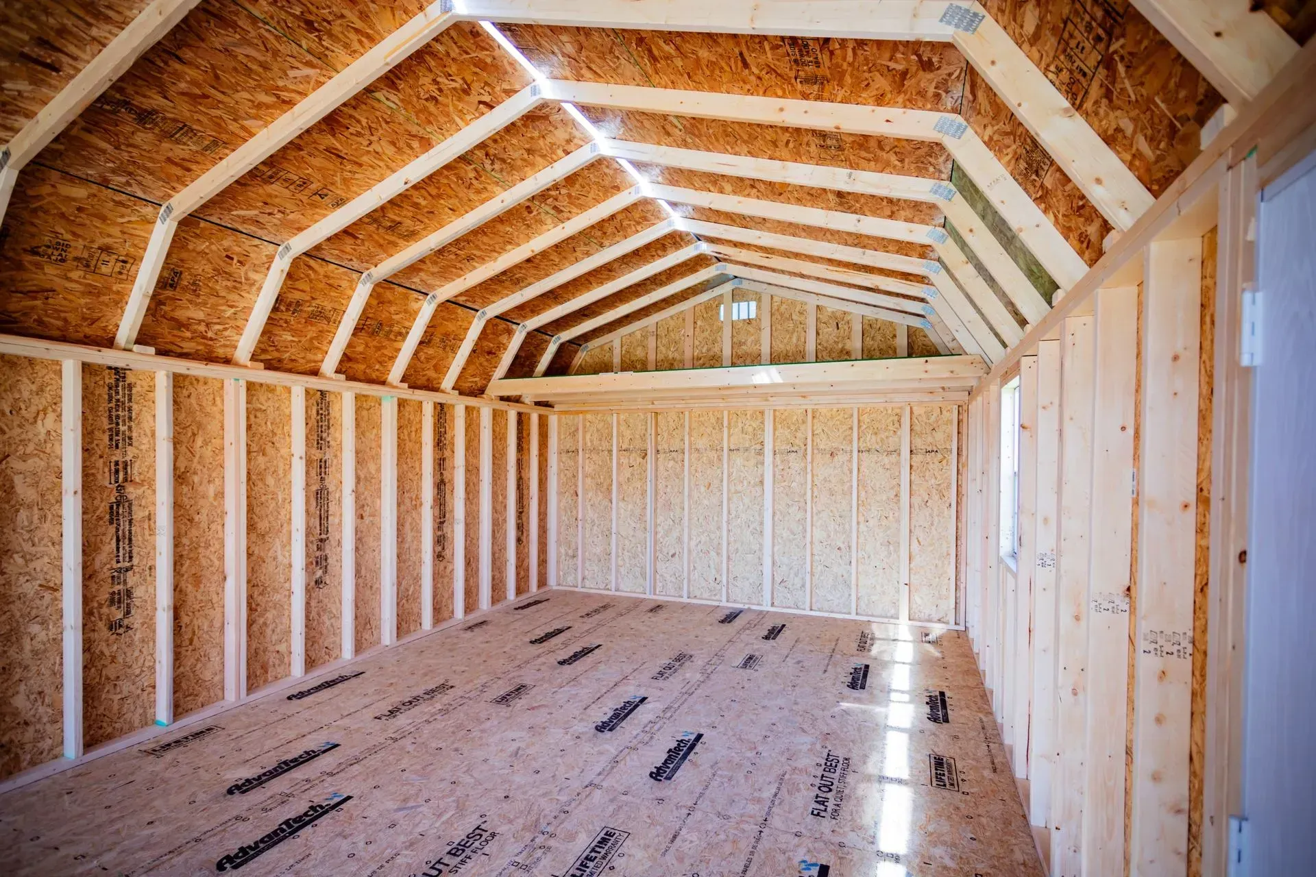 Interior view of a wooden shed under construction, showing framing of walls, roof rafters, and OSB sheathing.