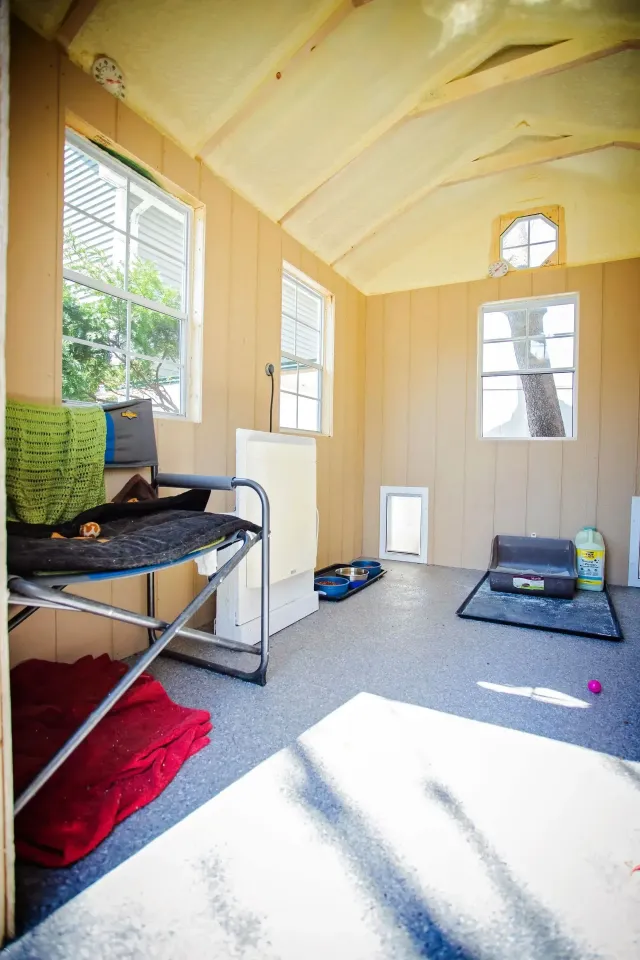 Interior of a small wooden shed, with windows, a dog door, and dog beds, furnished with a folding chair.