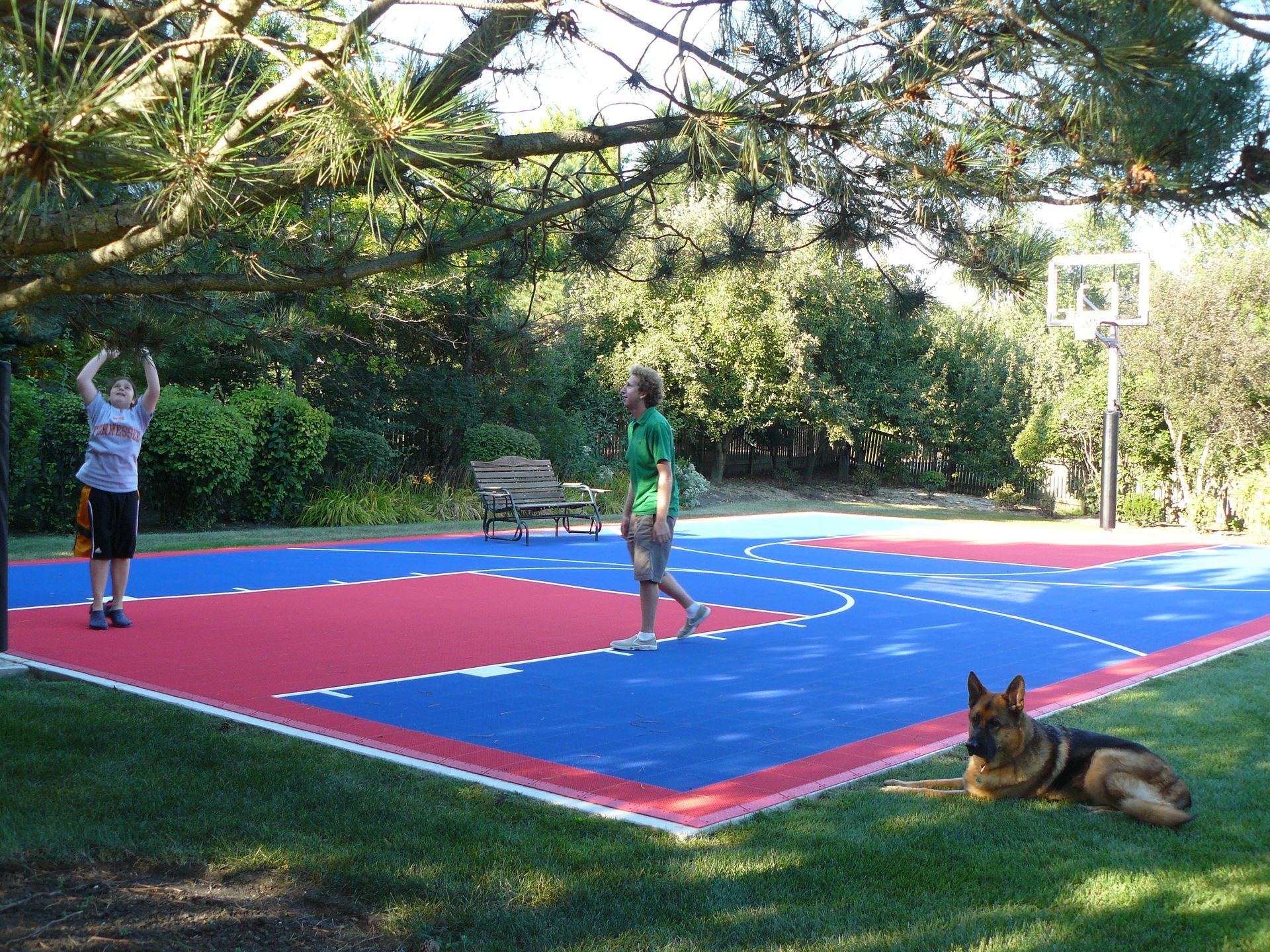 A german shepherd is laying on the grass near a basketball court
