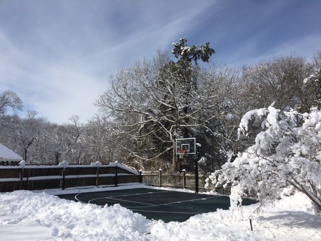 A basketball court is covered in snow and trees are covered in snow.