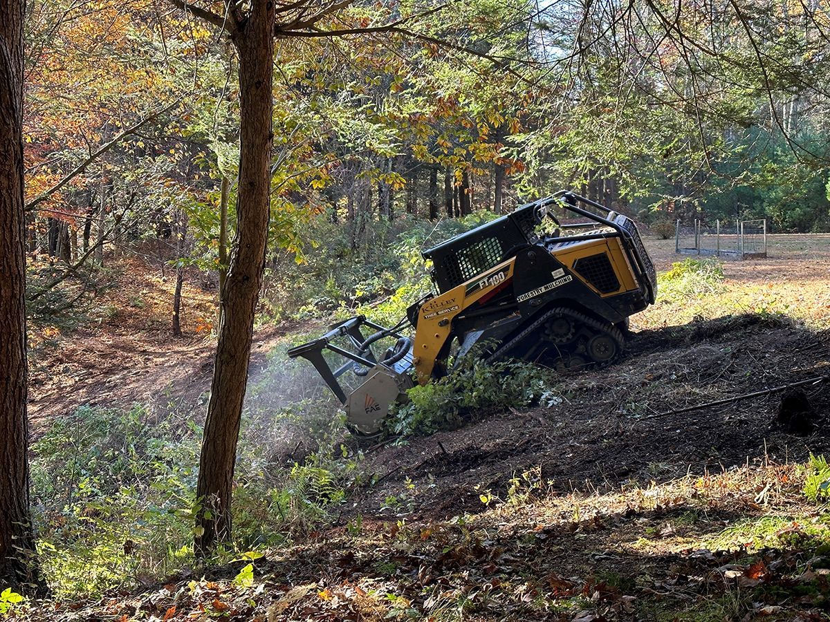 A bulldozer is cutting down trees in the woods