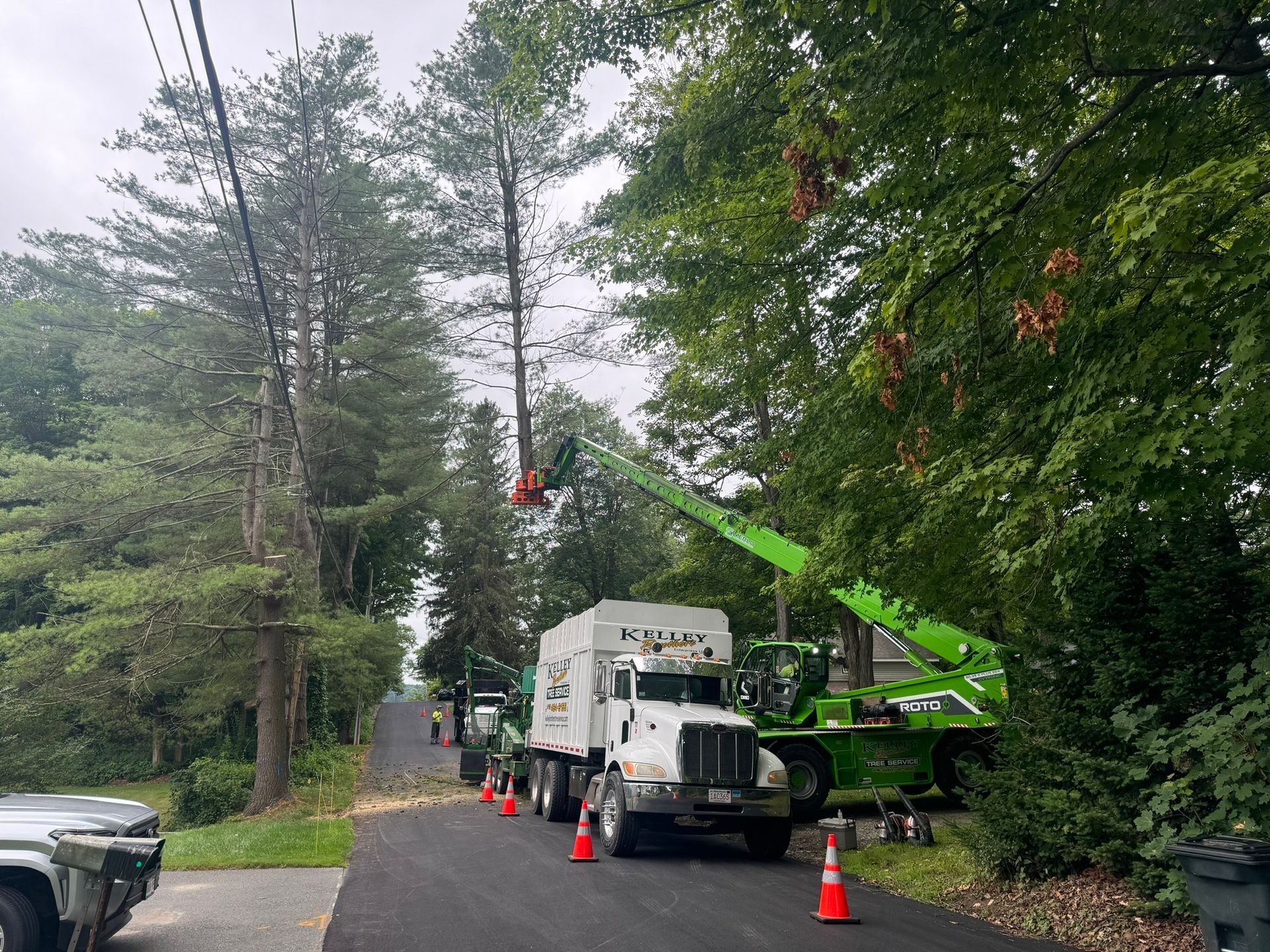 A truck is cutting a tree on the side of a road.