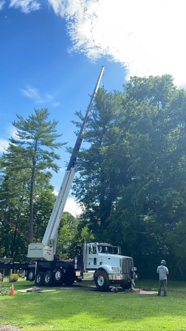 A crane is lifting a tree in a park.