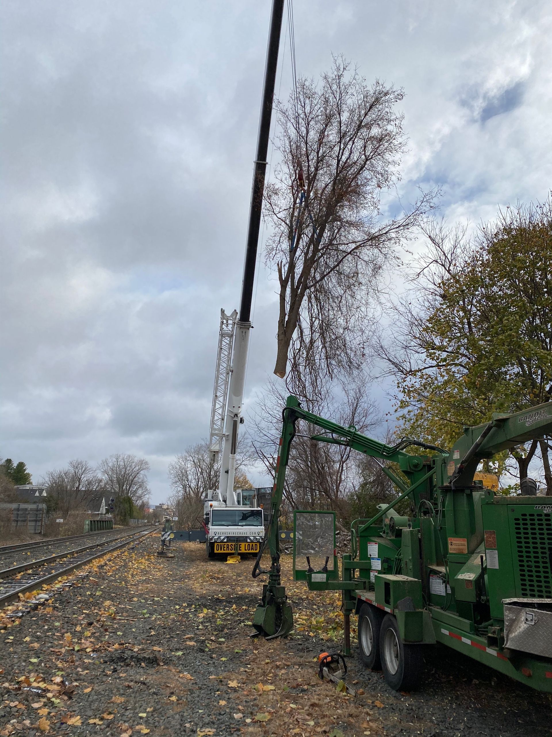 A crane is lifting a tree in a field.