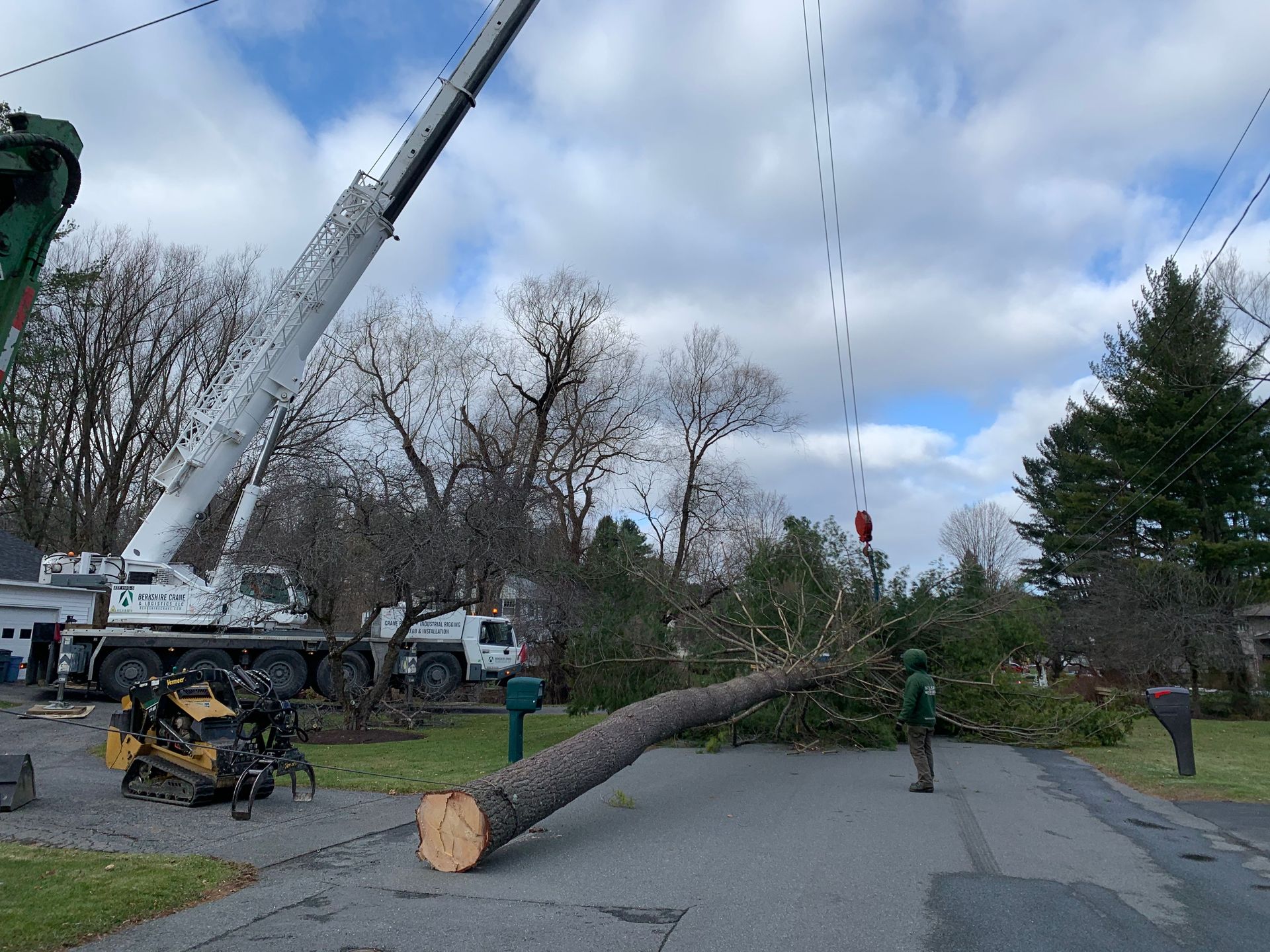 A large tree is being removed by a crane.