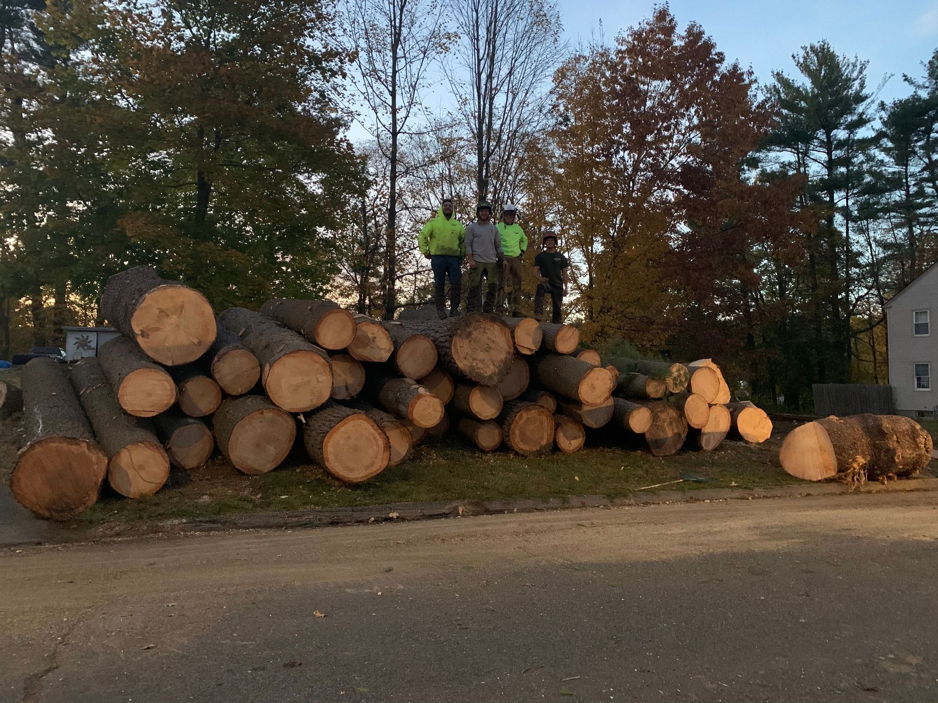 A group of people standing on top of a pile of logs.