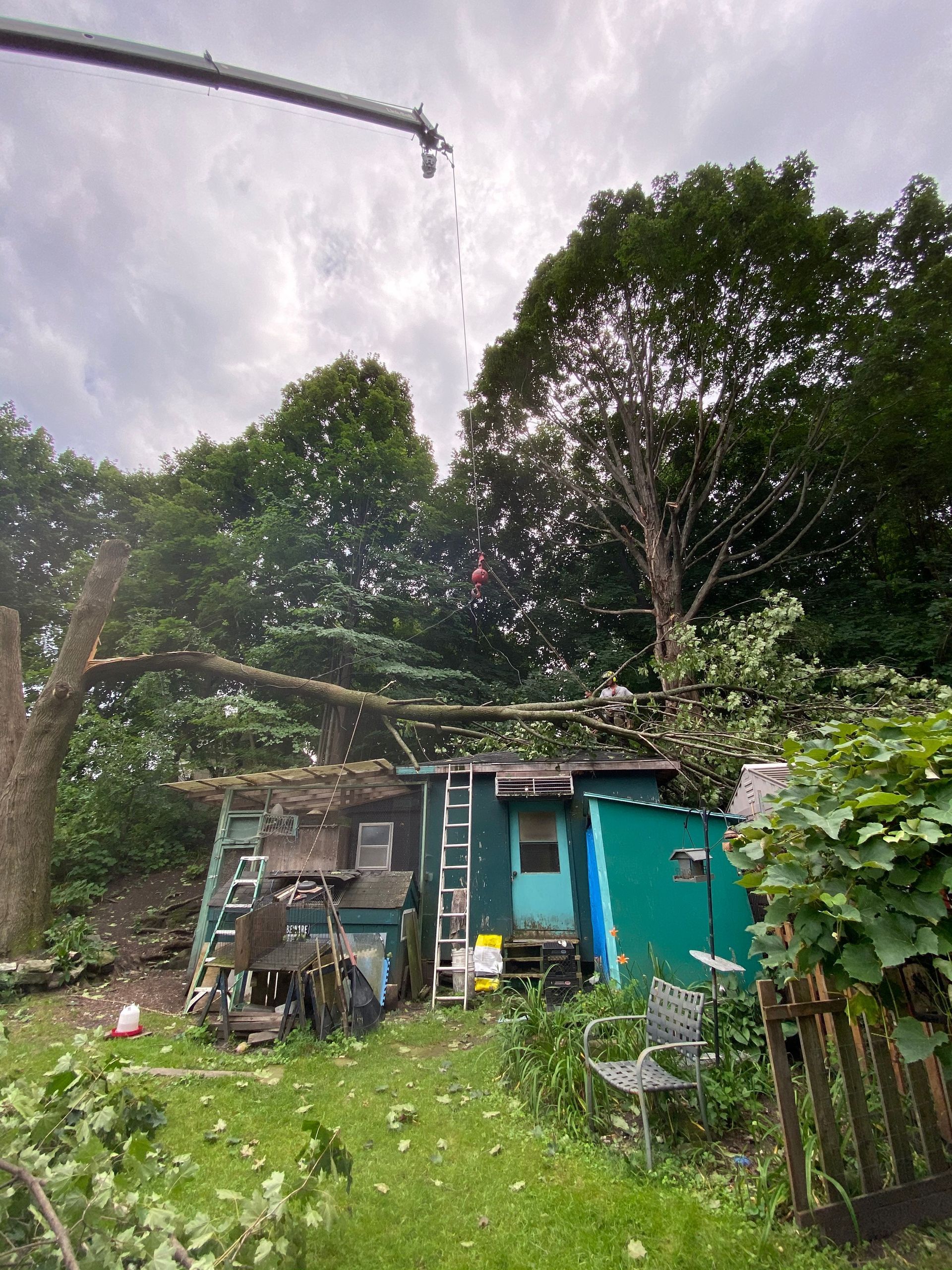 A crane is lifting a tree branch over a house.