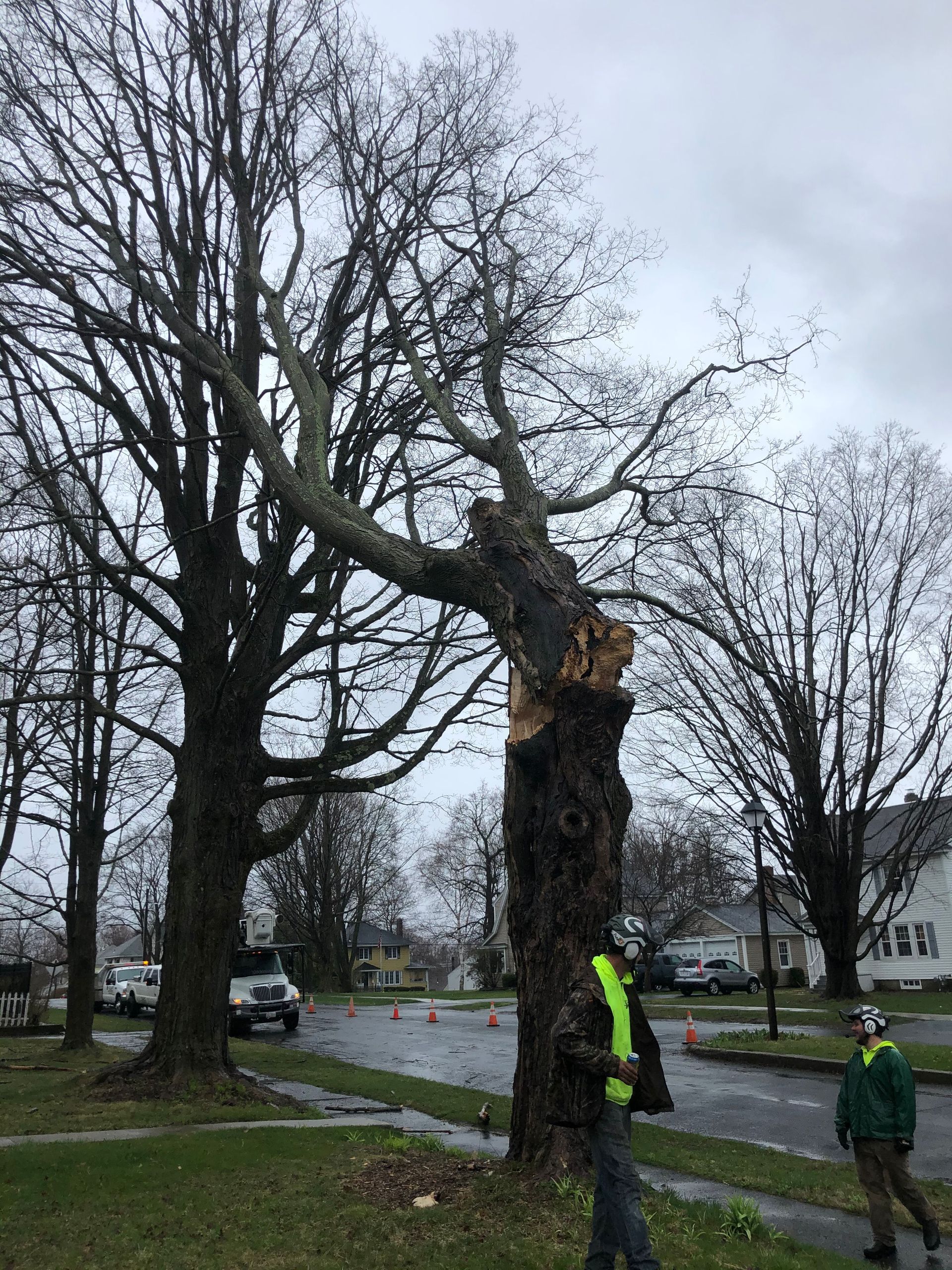 A man is standing next to a tree that has been damaged by a storm.