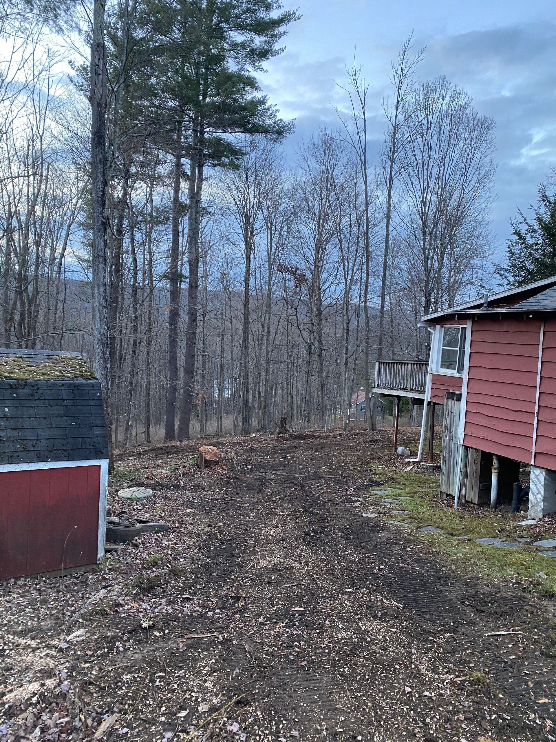 A red barn is sitting in the middle of a forest.