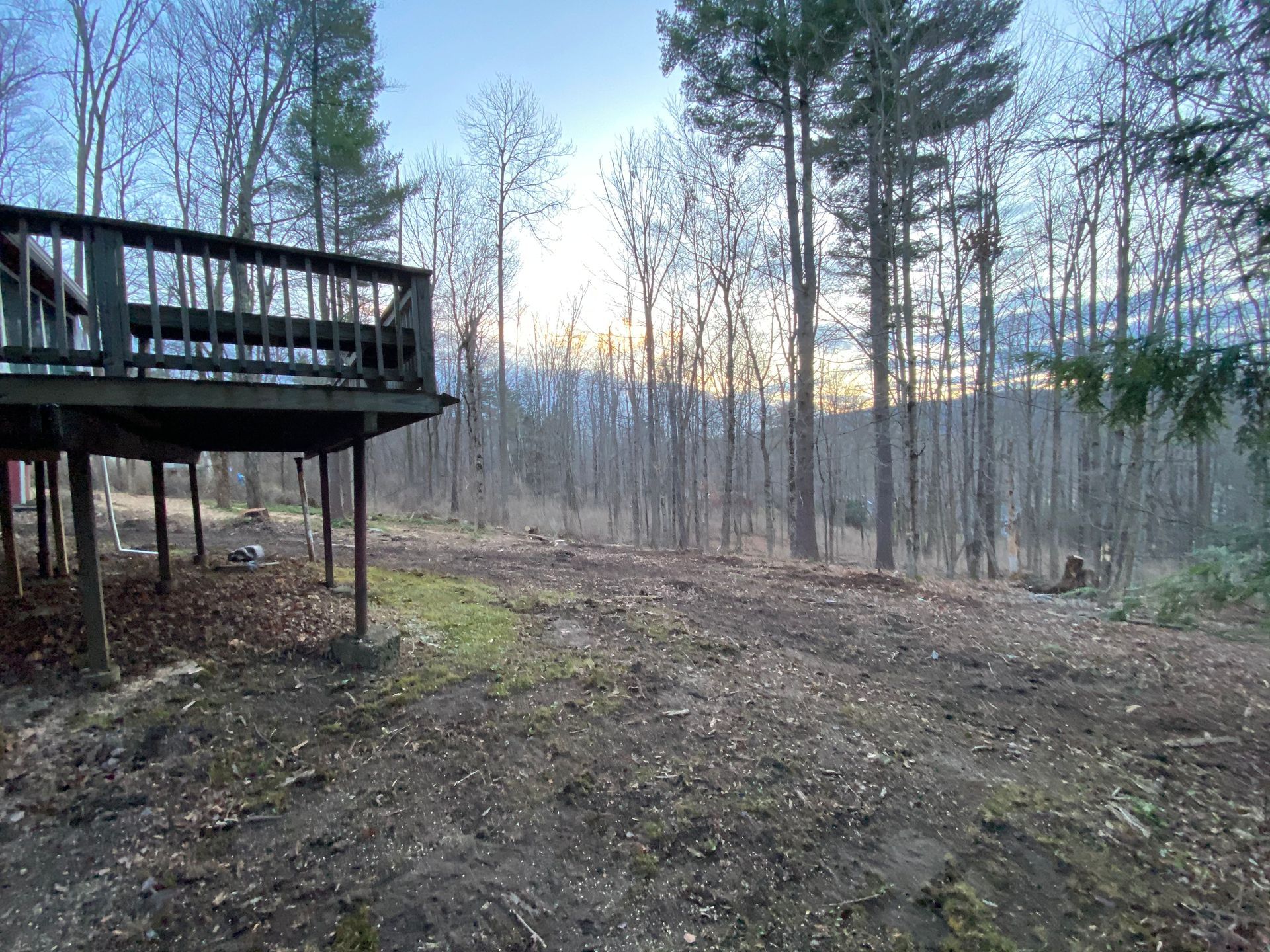 There is a deck in the middle of the woods.
